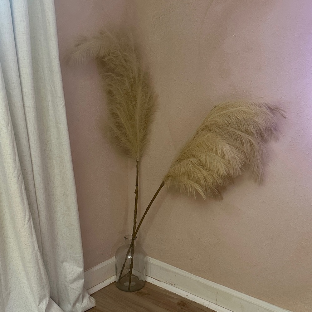 Elegant Tan Pampas Grass in Glass Vase